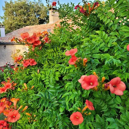 Chez Berger, Ruime 2 Persoonskamer Met Kingsize Bed 3*