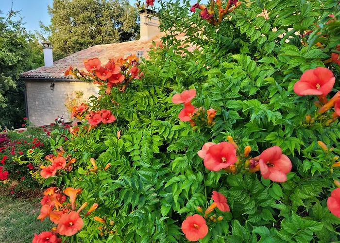 Chez Berger, Ruime 2 Persoonskamer Met Kingsize Bed 3*